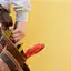Handyman repair service in Aurora, CO for home fixes and improvements